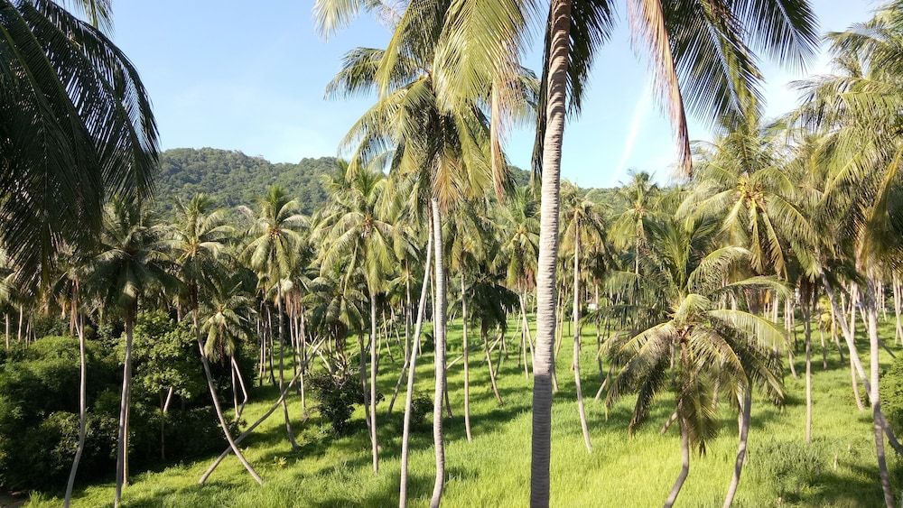 Good Dream Hotel 2 estrelas em Ko Tao