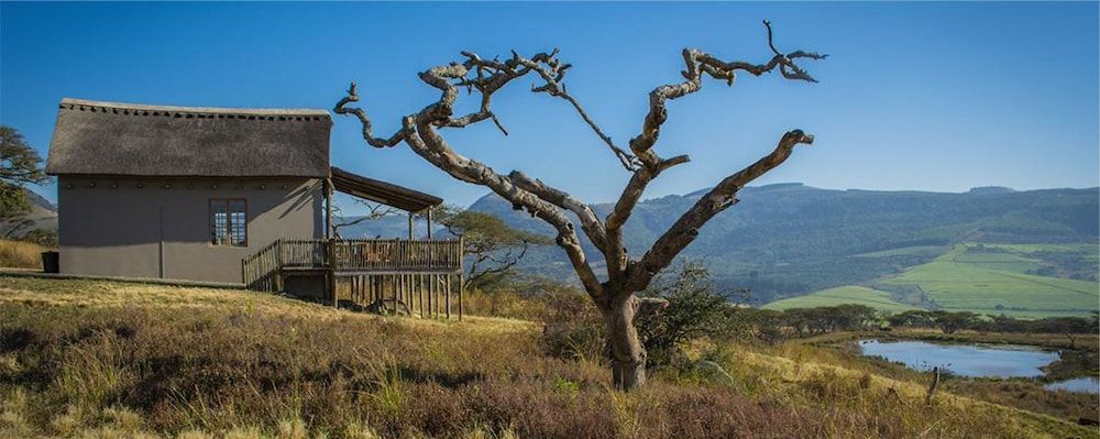 Ukuthula Lodge