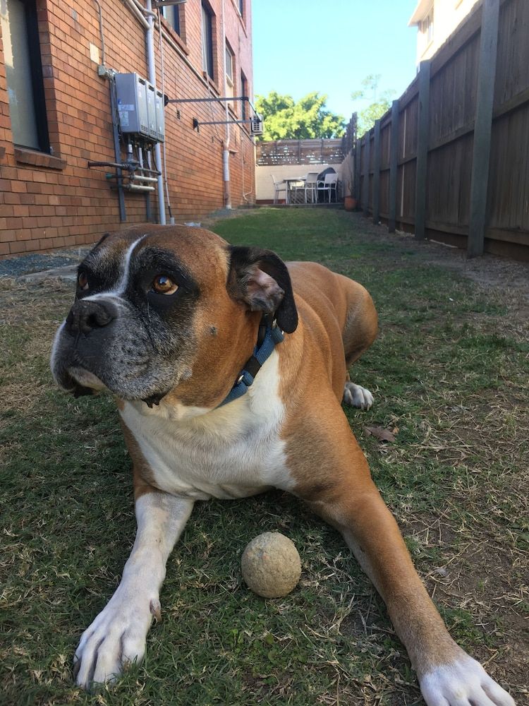 Kingsford Riverside Inn 3