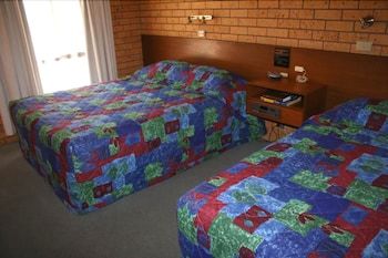 Newell Motor Inn - Narrandera 3