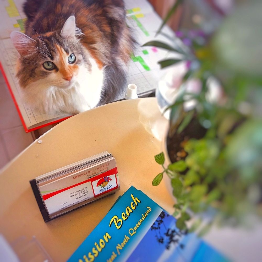 Mission Reef Resort 2