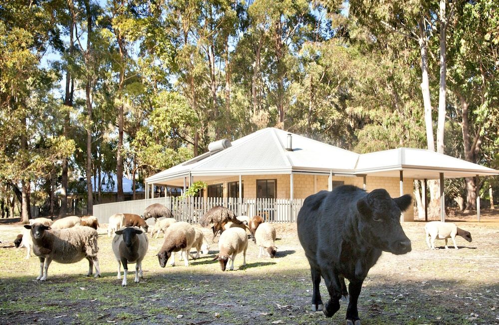 Margaret River Hideaway