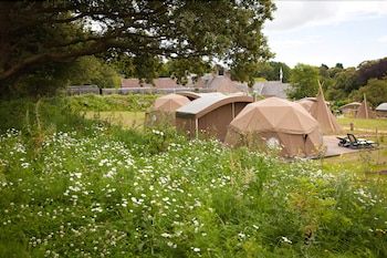 Durrell Wildlife Camp 5 estrelas em Trinity