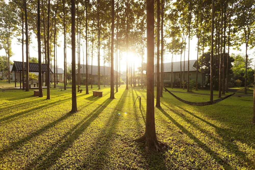 Le Saichan Maejo Chiang Mai