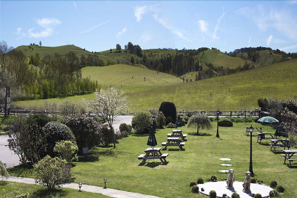 The Live and Let Live