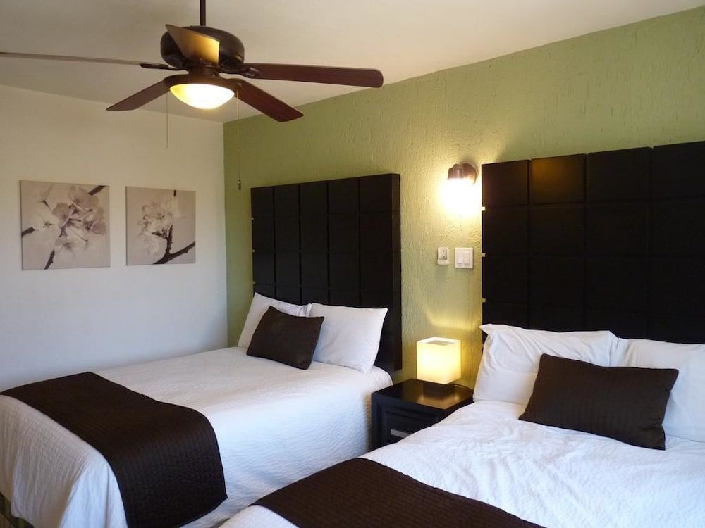 Hotel Posada Terranova 1