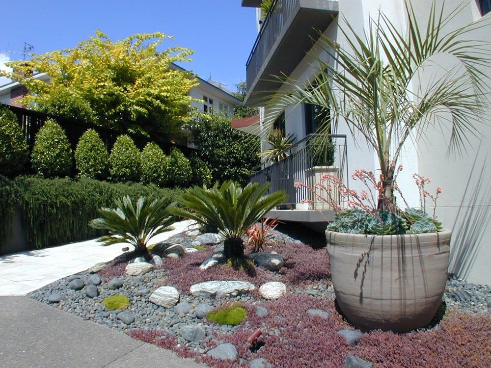 Ascot Parnell Boutique Bed and Breakfast 3