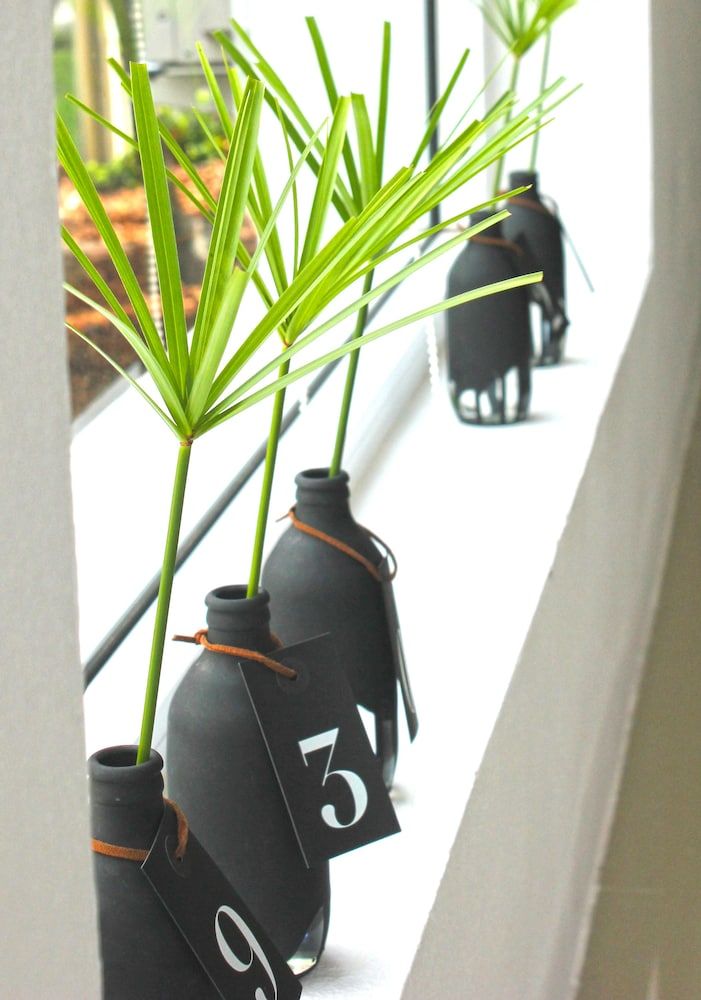 The Beach Village Resort 2