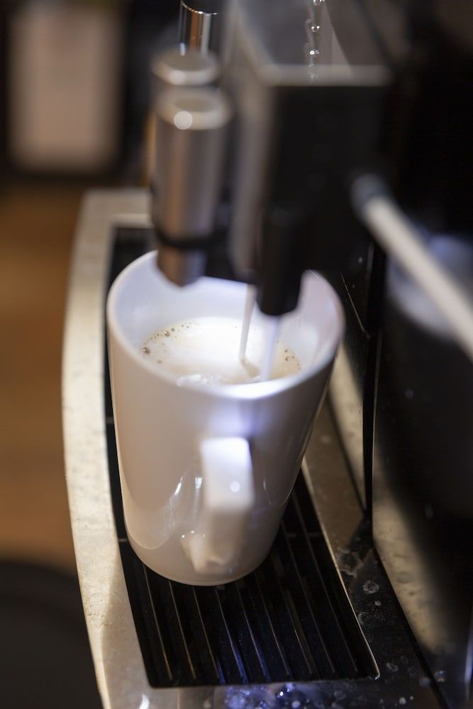 Dolphin Hotel Herning 3