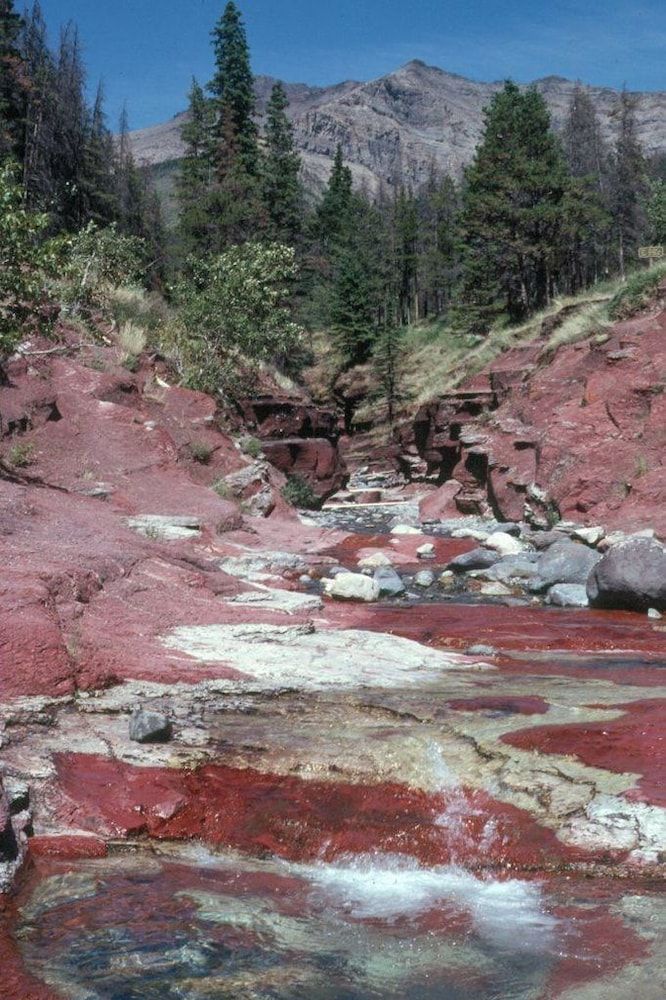 Crandell Mountain Lodge