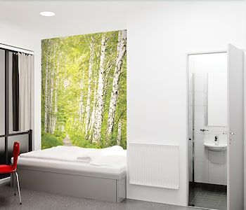 Yess! Hotel, Sure Hotel Collection by Best Western 3