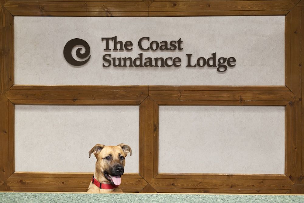 Coast Sundance Lodge 3