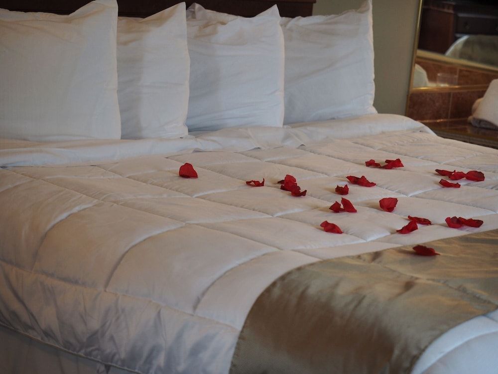 Hotel & Suites Les Laurentides Saint Sauveur 2