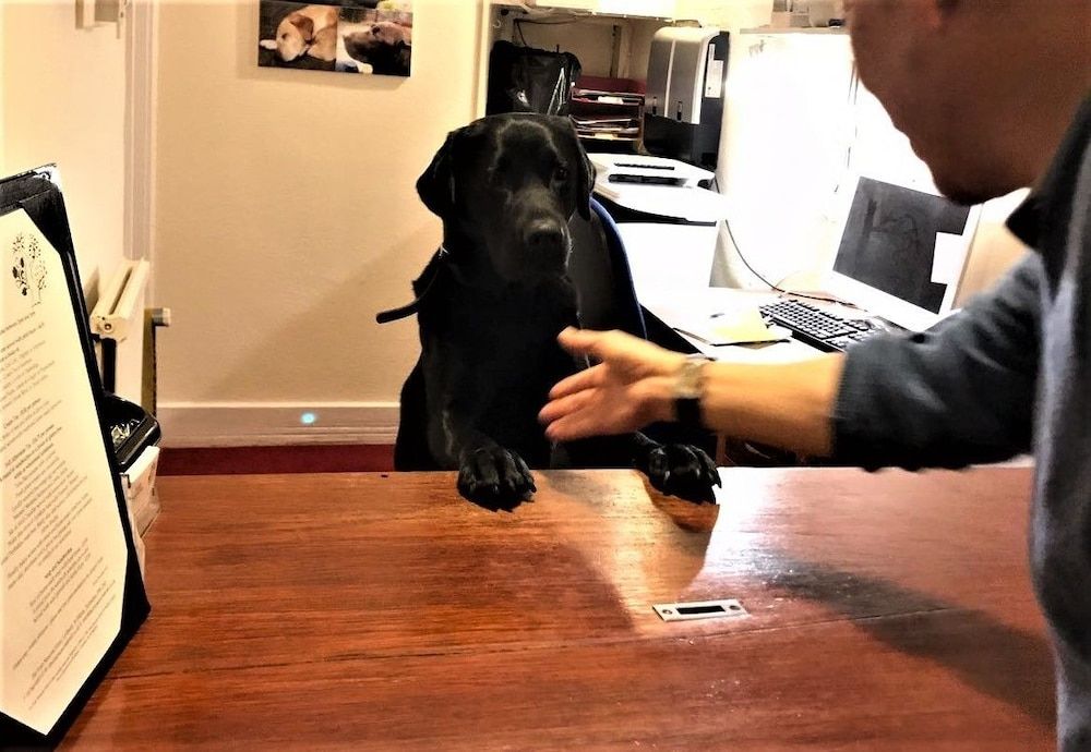 The Four Seasons Hotel 3