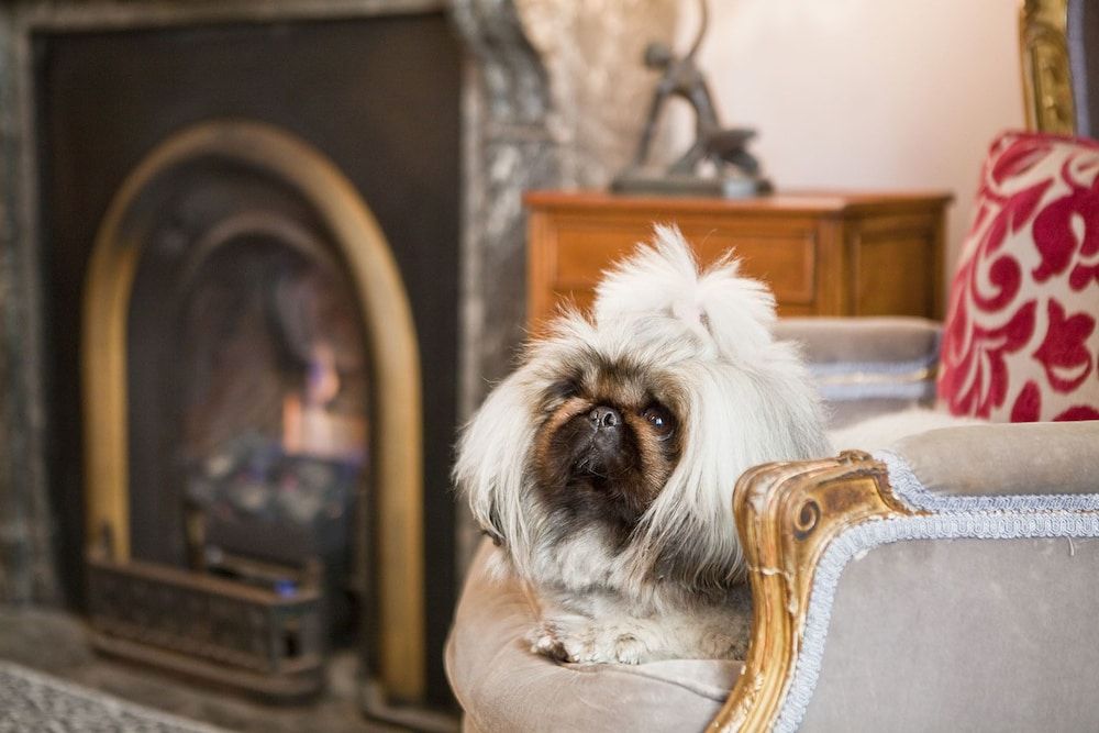 The Hughenden Boutique Hotel 3