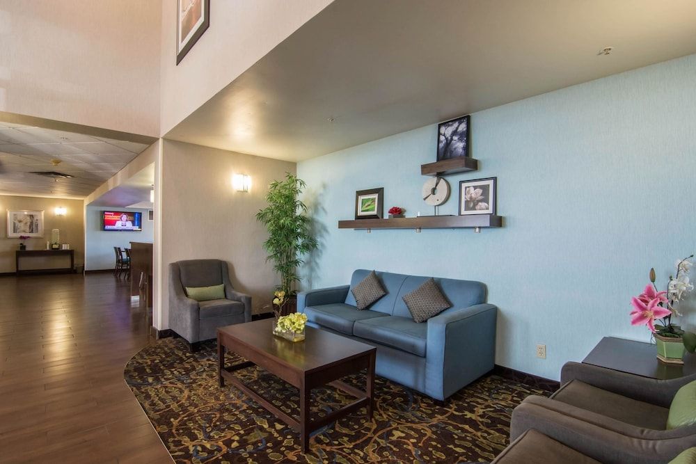 Comfort Inn & Suites Airport South 3