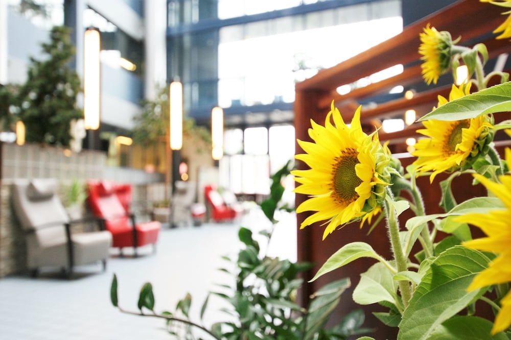 Airport Hotel Bonus Inn 3