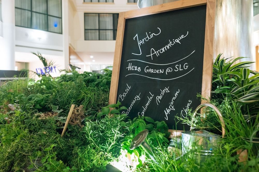 Sofitel London Gatwick 3