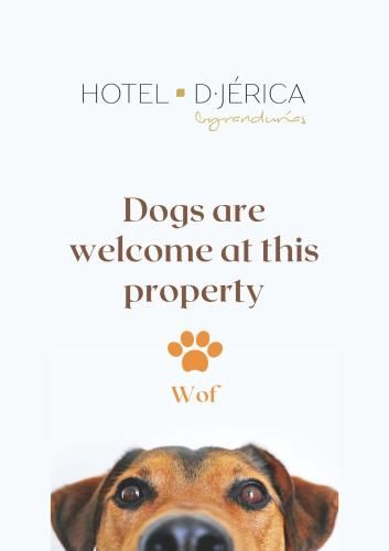 Hotel De Jerica 3