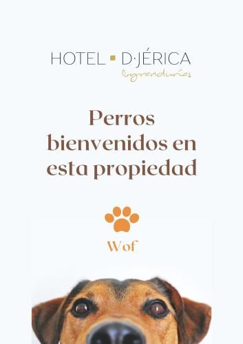 Hotel De Jerica 2
