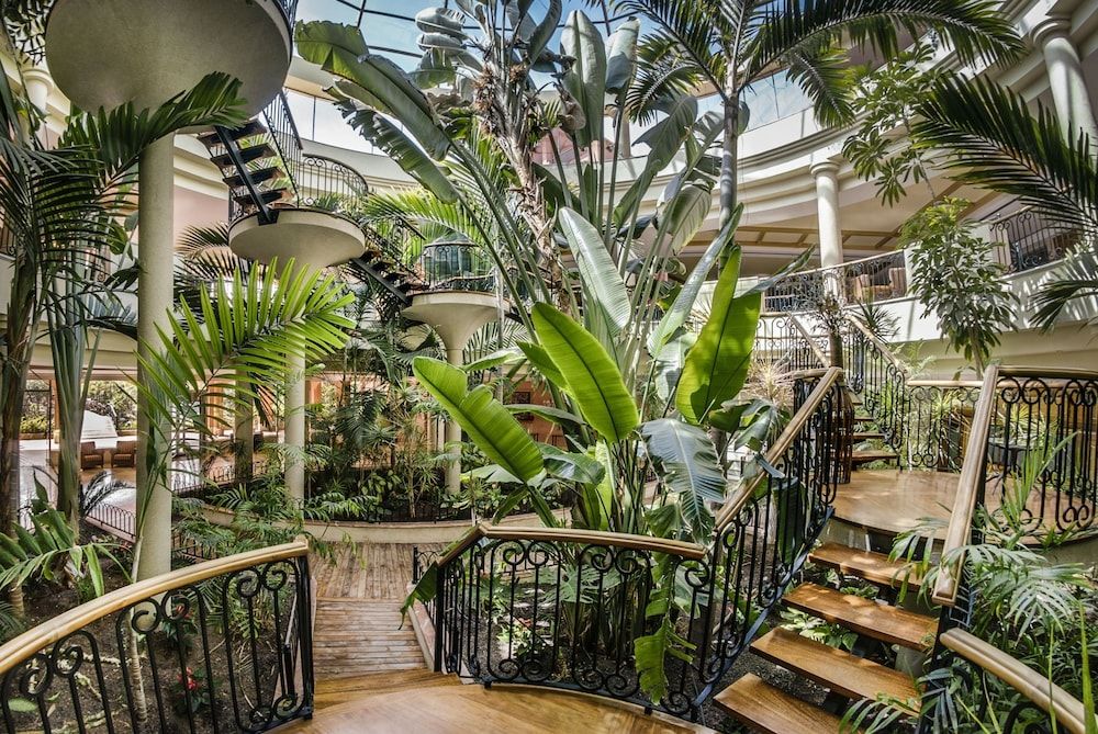 Sheraton Fuerteventura Beach, Golf & Spa Resort 2