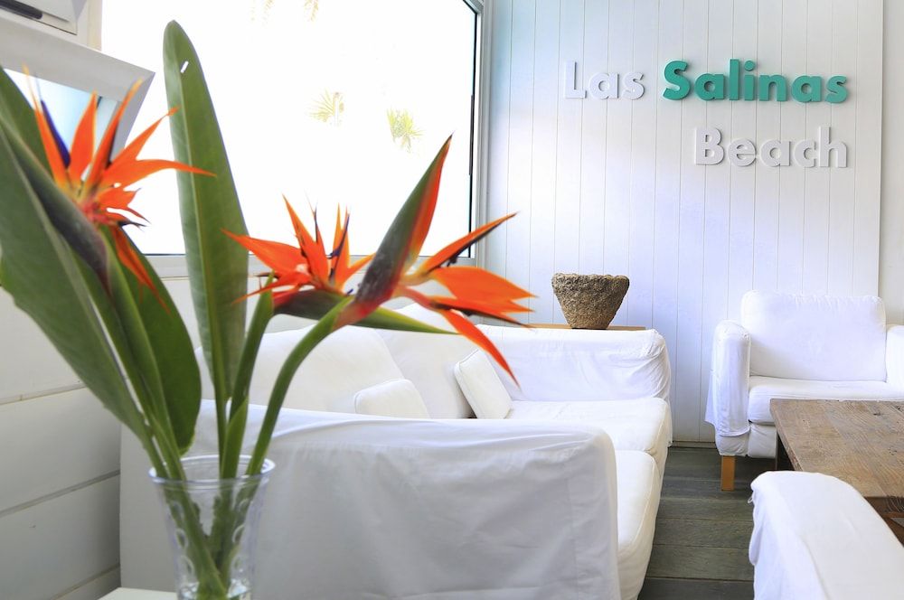 Smy Tahona Fuerteventura 2