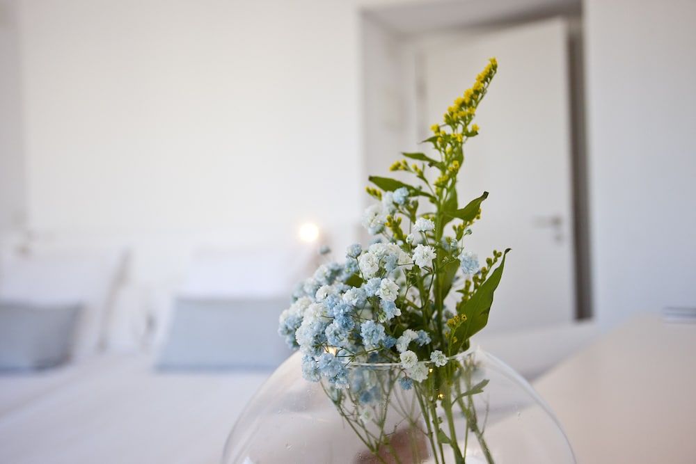 Hotel Galaxia 2