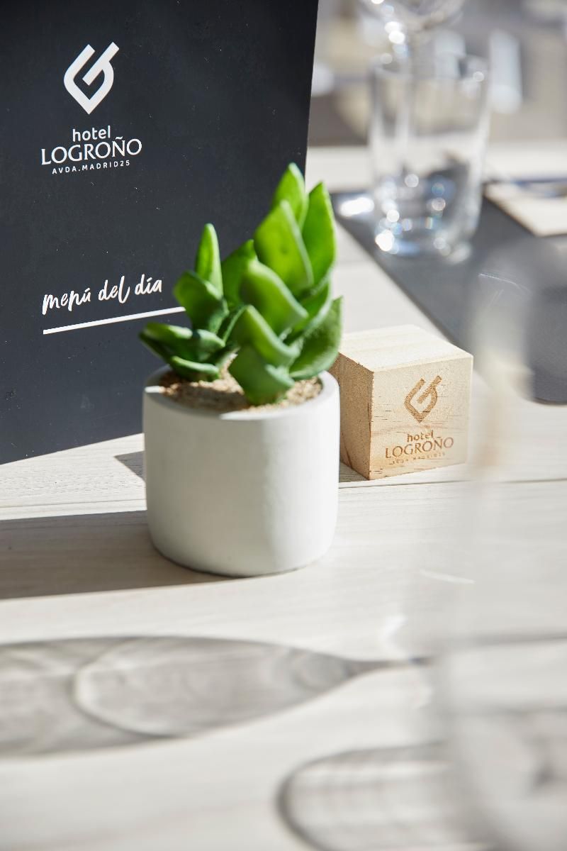 Hotel Iraipe Logroño 3