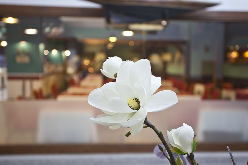Hotel ILUNION Les Corts Spa 3
