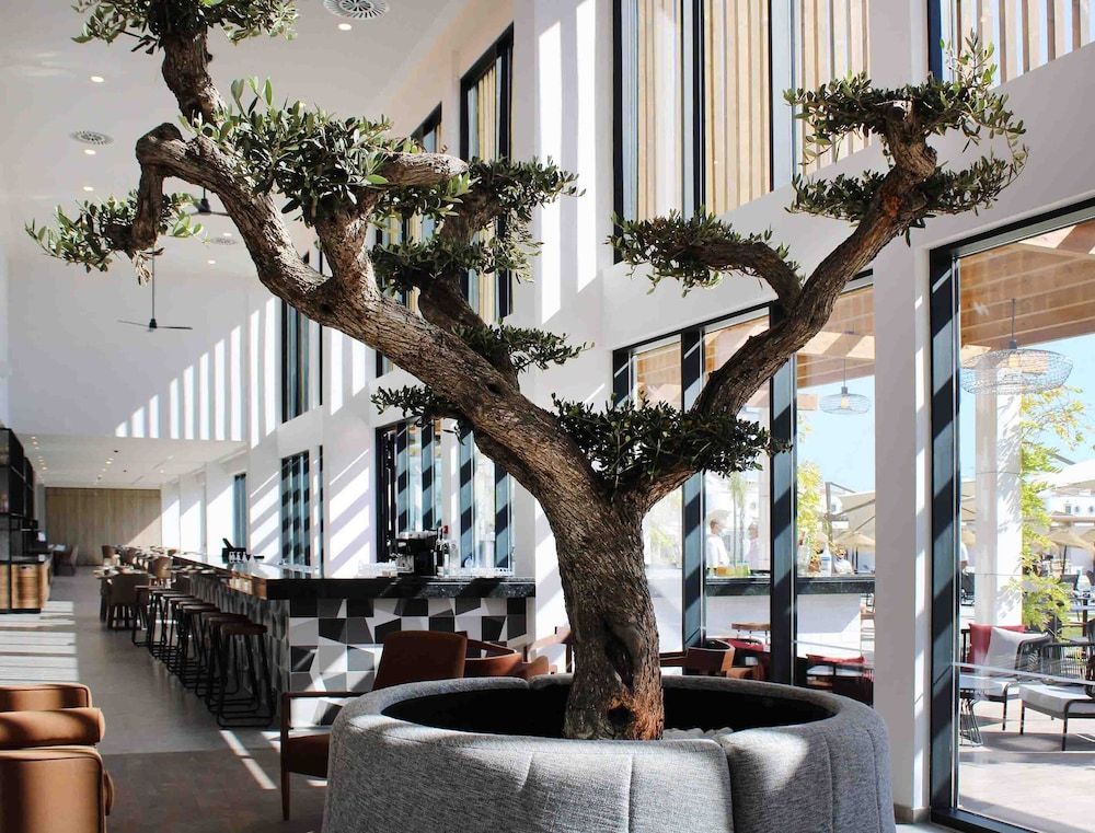 AP Cabanas Beach & Nature - Adults Friendly 2