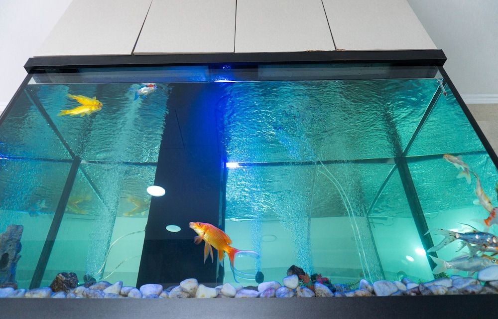 Residencial Lar do Areeiro 3