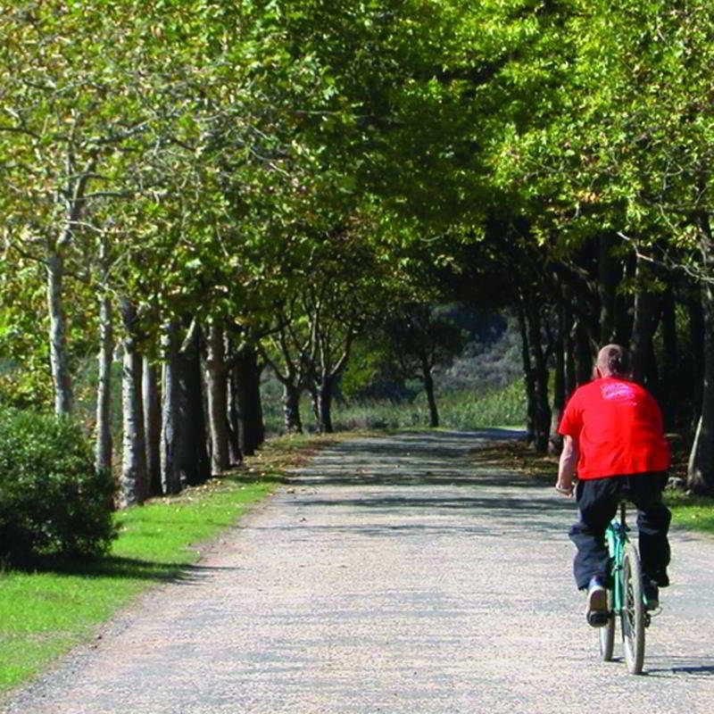 Termas do Vimeiro 2 estrelas em Maceira