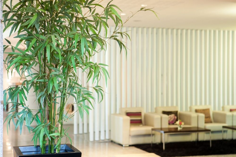 Lux Fátima Park - Hotel, Suites & Residence 3