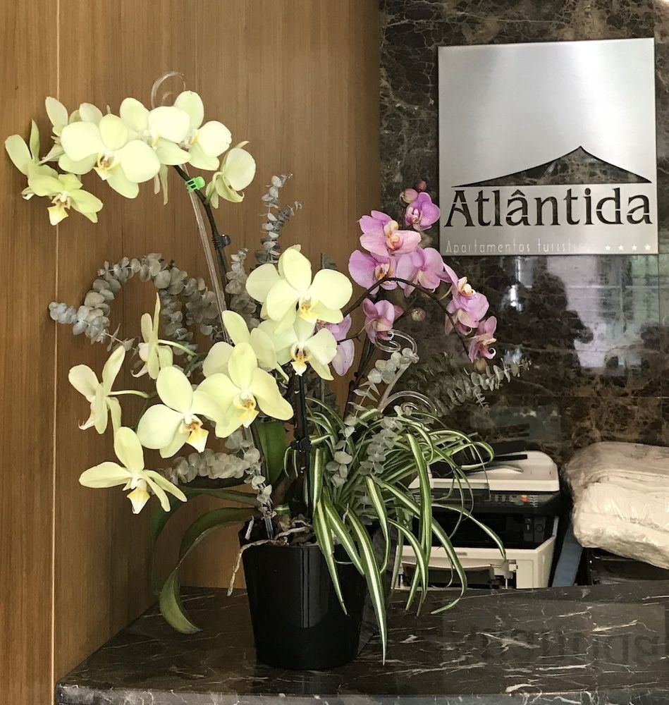 Apartamentos Turisticos Atlantida 3