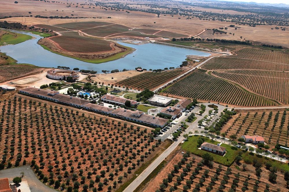 Vila Gale Alentejo Vineyard - Clube de Campo 4 estrelas em Albernoa
