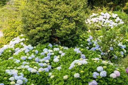 Hotel Alda Vía Norte 3