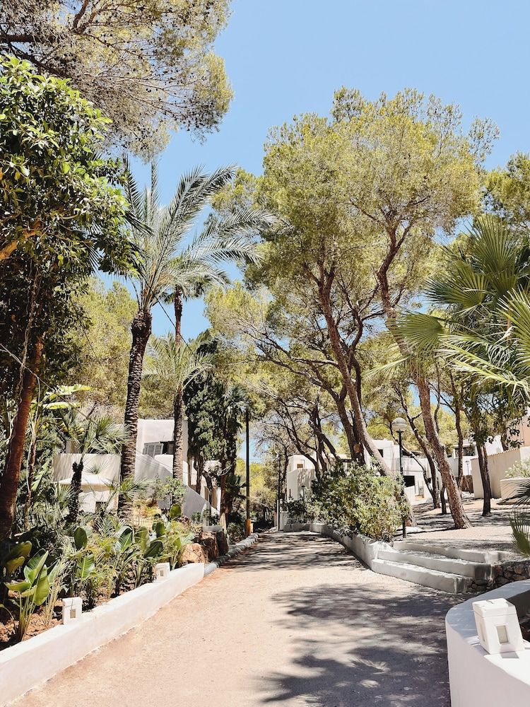 FERGUS Style Punta Arabi 3