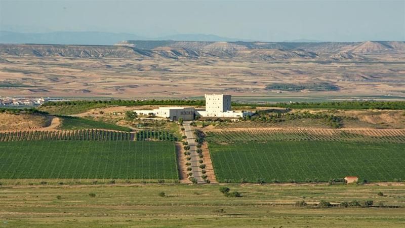 Domus Selecta Pago De Cirsus 2