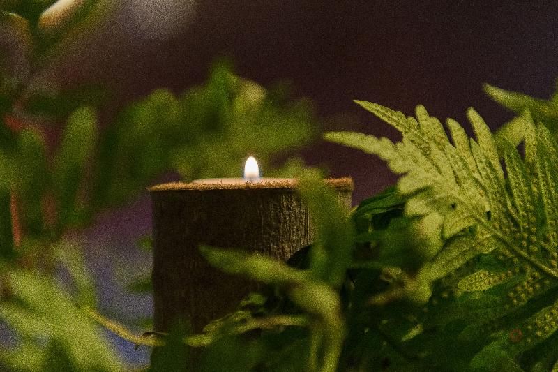 Your Hotel & Spa Alcobaça 2