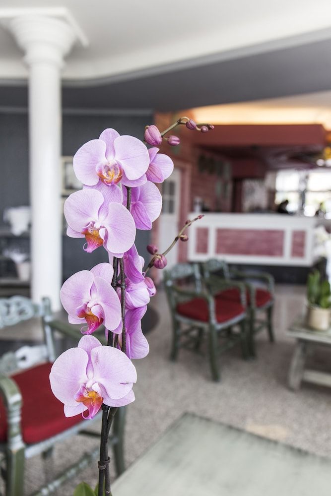 Hotel Colón Guanahaní Adults Only 2