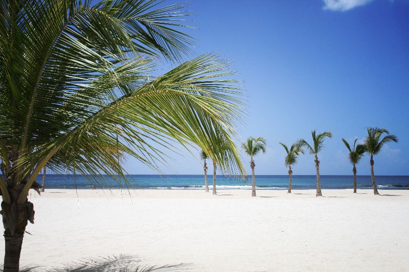 Xeliter Costa Del Sol 1