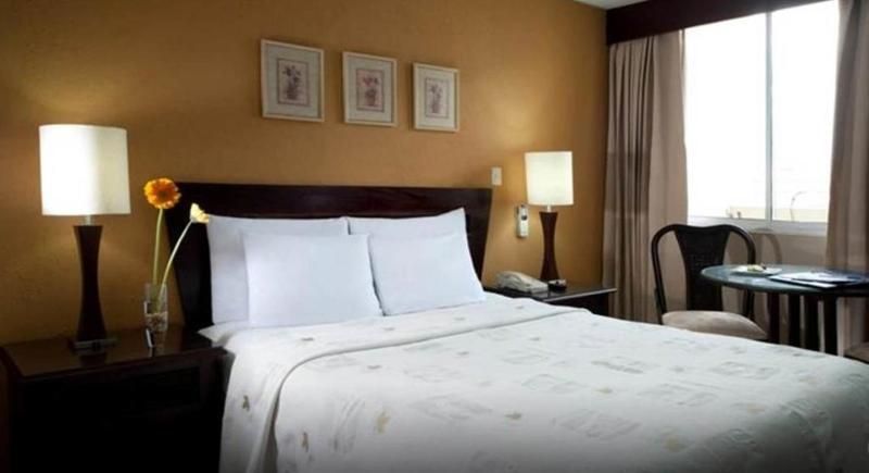 Hodelpa Centro Plaza 3