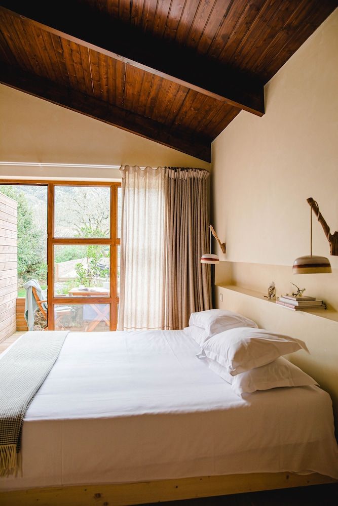 The Nest By Cooking and Nature 2