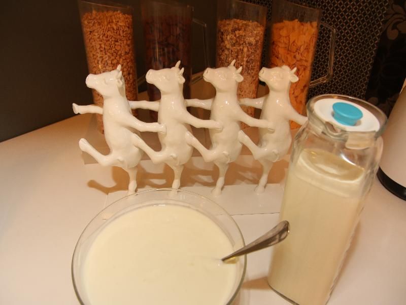 Hostel & Guesthouse Kaiser 23 3