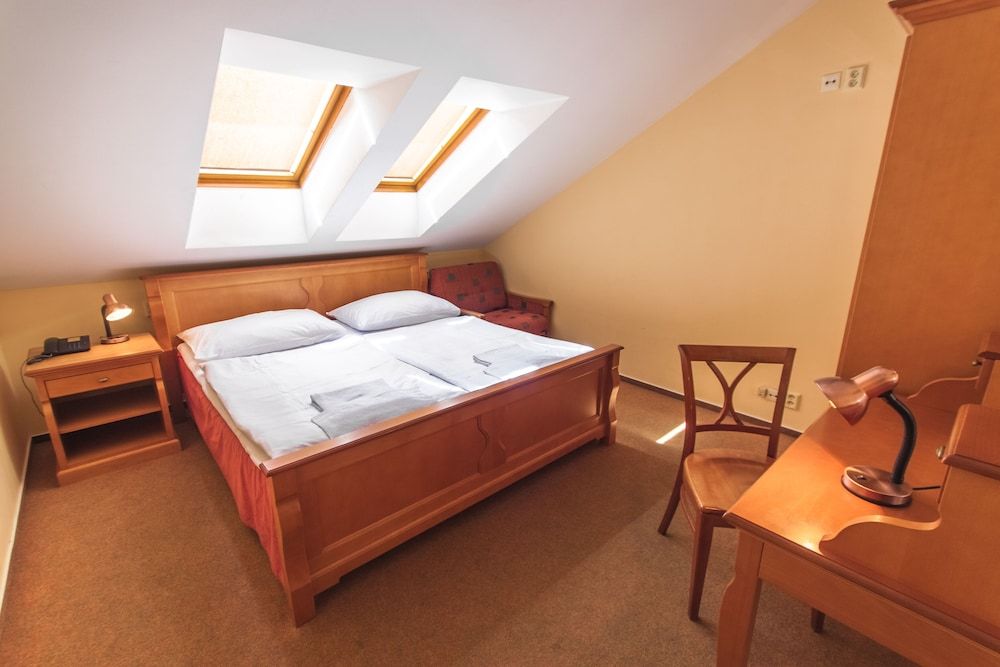 Pension Brezina Prague 1