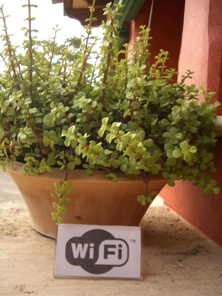 Agroturismo sa Rota den Palerm 3