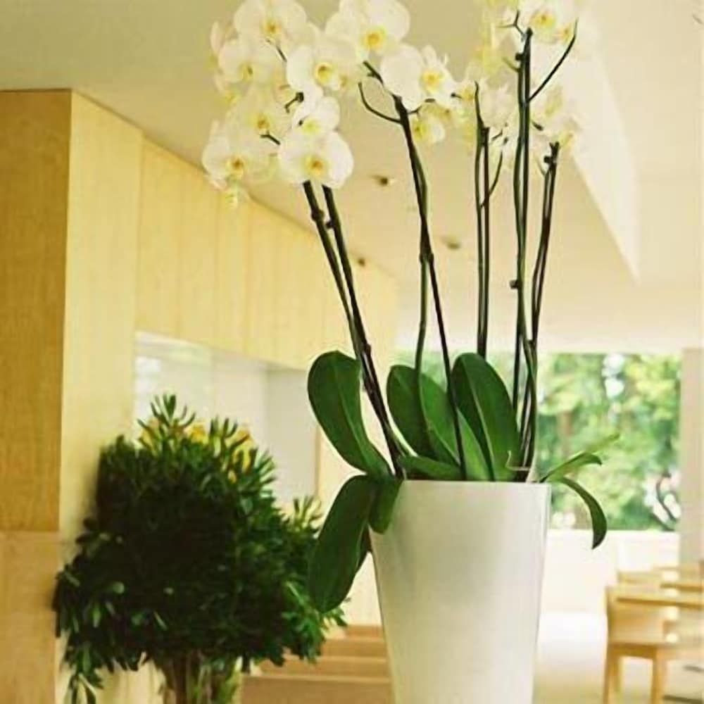 Inlima Hotel & Spa 2