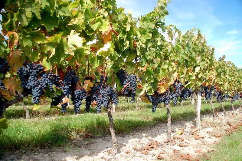 Rollan de By Hotel 2