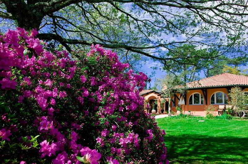 Les Frères Ibarboure, The Originals Collection 3