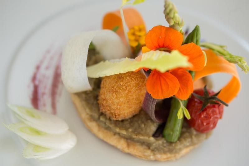 Chateau Les Oliviers de Salettes 3